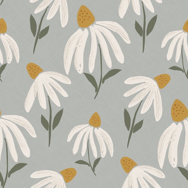 Cute white daisies on blue