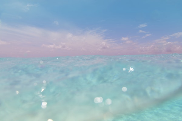 Dive into the Caribbean Sea 3