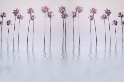 Τοιχογραφία