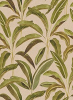Large Lush Tropical Banana Leaf Palm Beige carta da parati