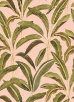 Large Lush Tropical Banana Leaf Palm Coral wallpaper