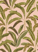 Large Lush Tropical Banana Leaf Palm Coral carta da parati