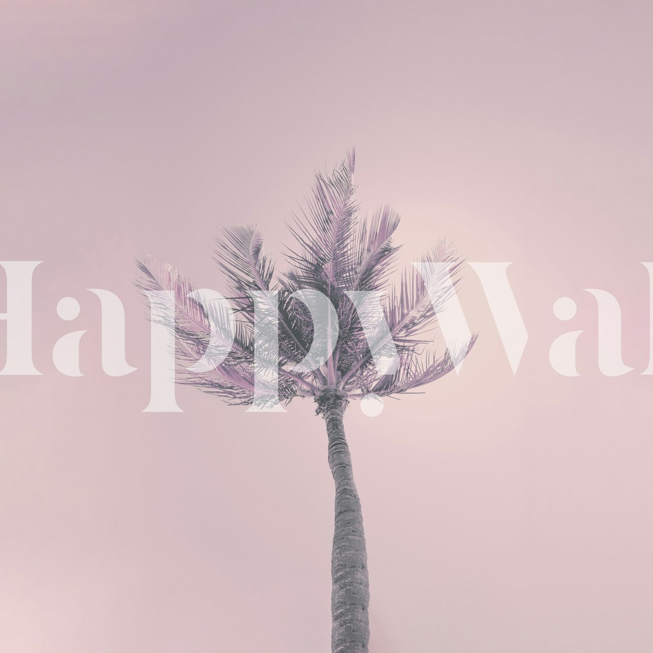 Pink palm tree silhouette against a soft pink backdrop wallpaper