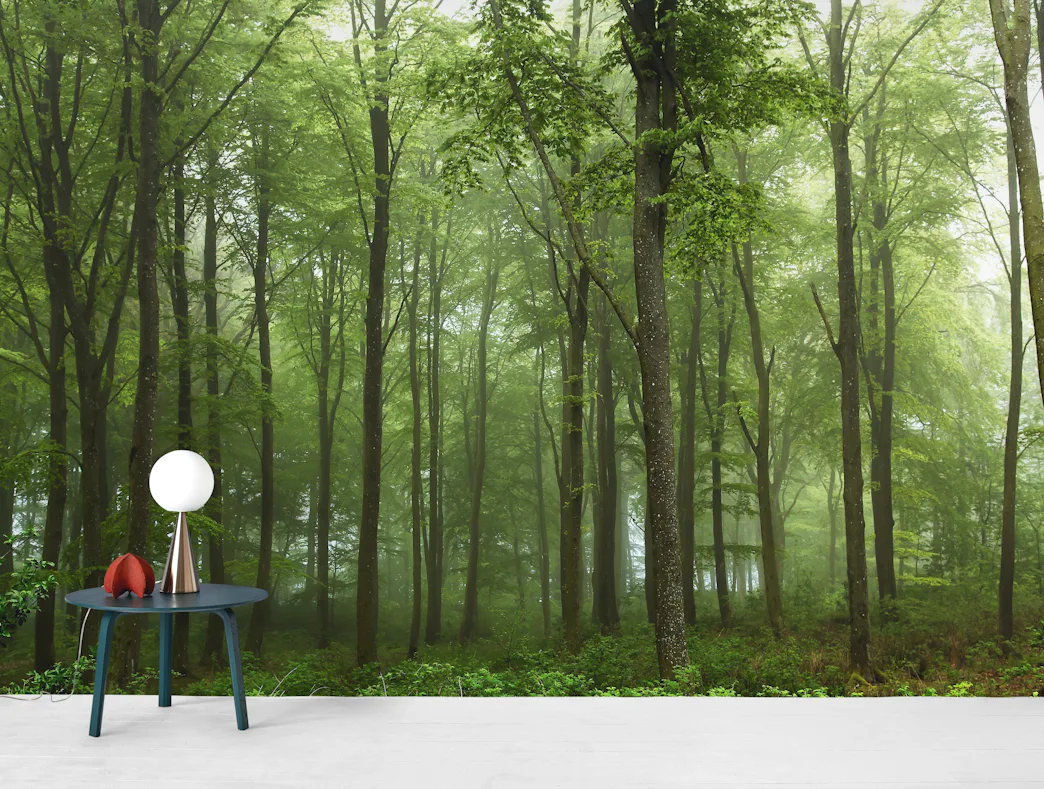 Danish Forest Fog Tapet Fototapet Trad Gron Happywall