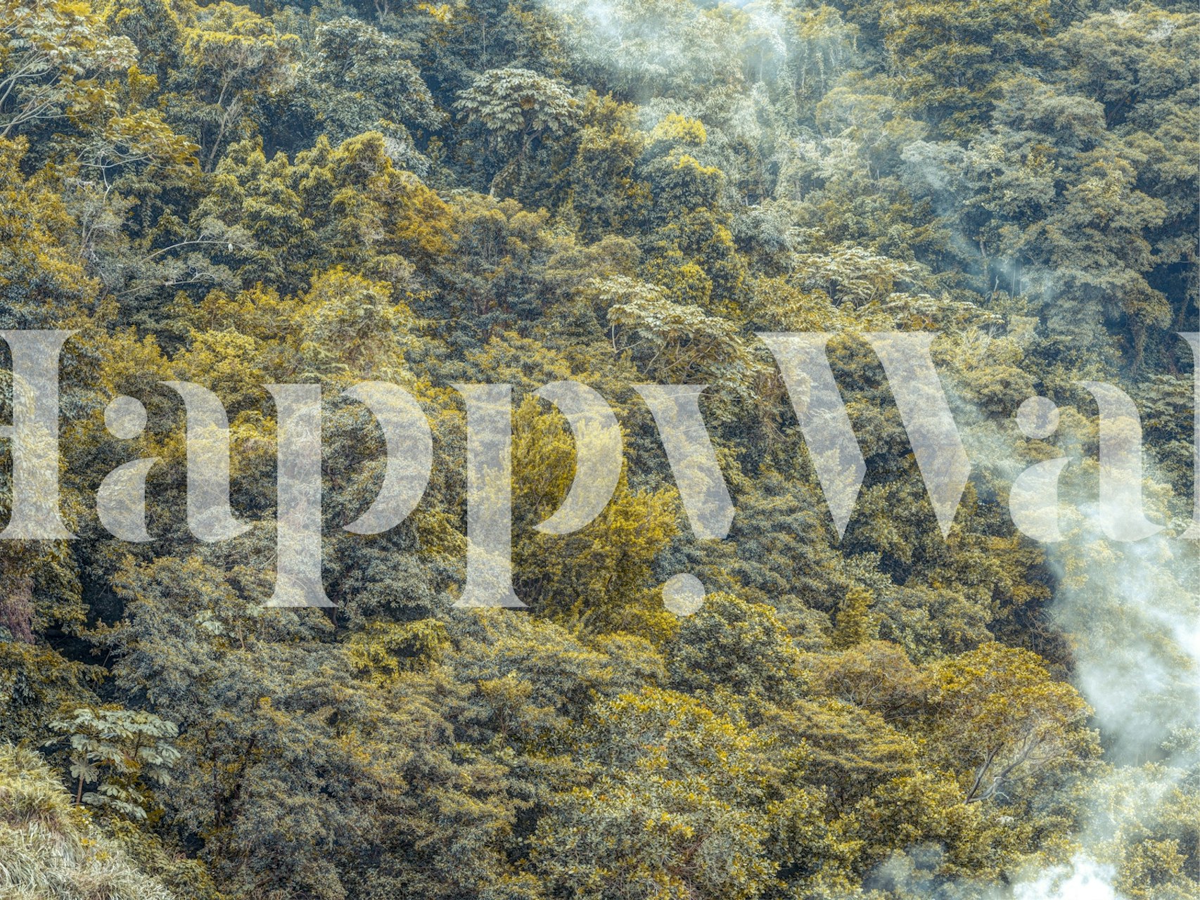 Enchanted Forest View wallpaper in a room