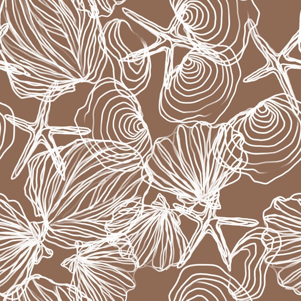 Coastal minimal shells drawn sea