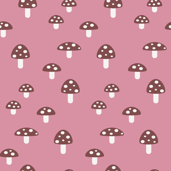 Lucky Mushroom Forest