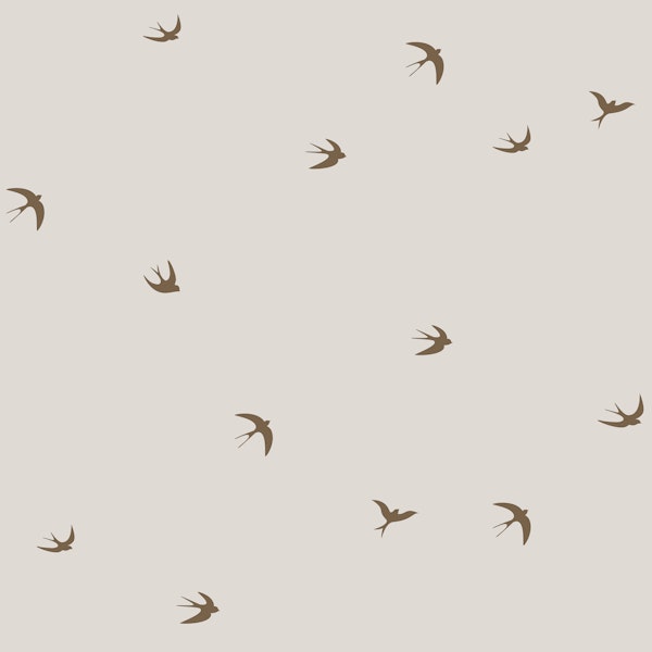 Peaceful birds in flight brown