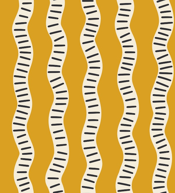 avy White Black Dash Stripes on Yellow