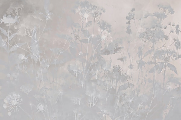 Pure Botanical Harmony