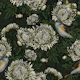Redstarts in the chrysanthemums in green