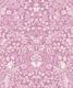 Blackthorn with Butterflies - mauve pink