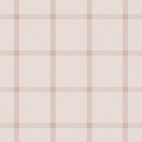 Rustic blush pink windowpane