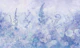 Dreamy Blue Foxgloves