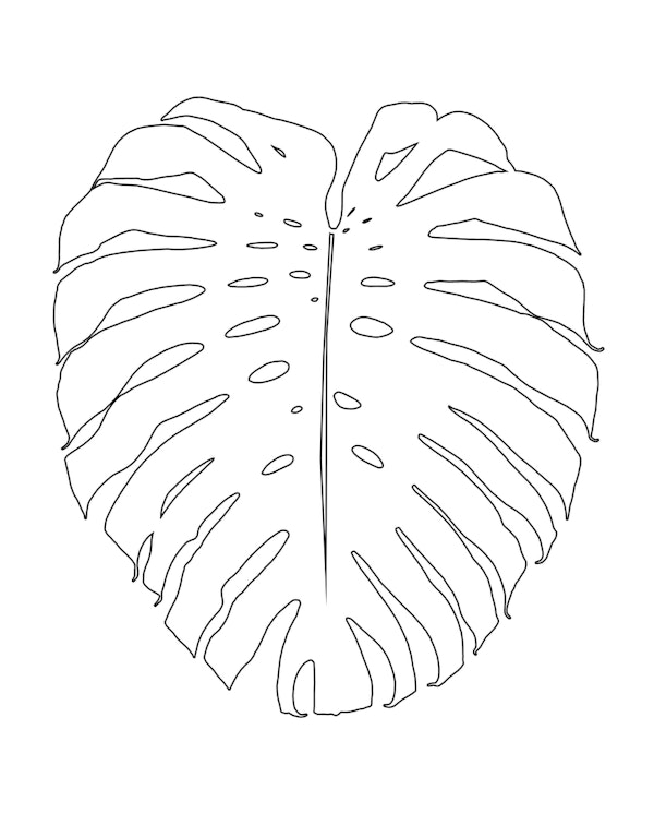 Monstera Leaf Finesse 1
