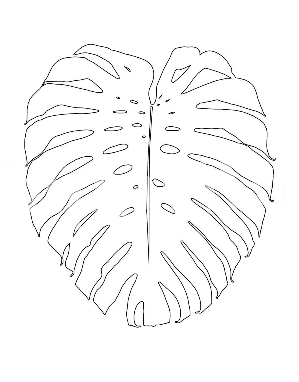 Line drawing of a Monstera leaf for wall mural