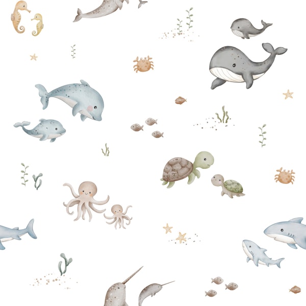 Friendly Sea Animals In White
