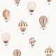 Vintage Hot Air Balloons