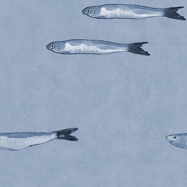Serene Sardines - Soft Blue