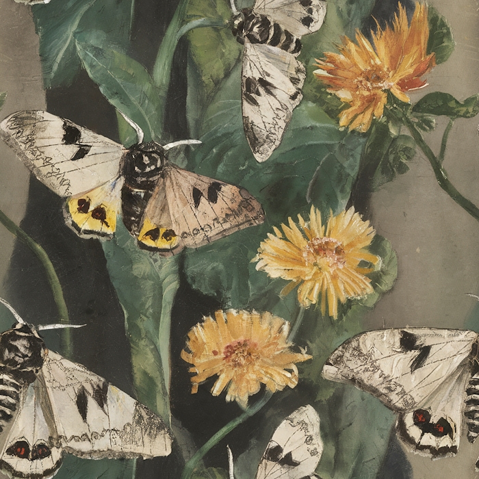 Floral Moth Wallpaper for Bedroom Decor