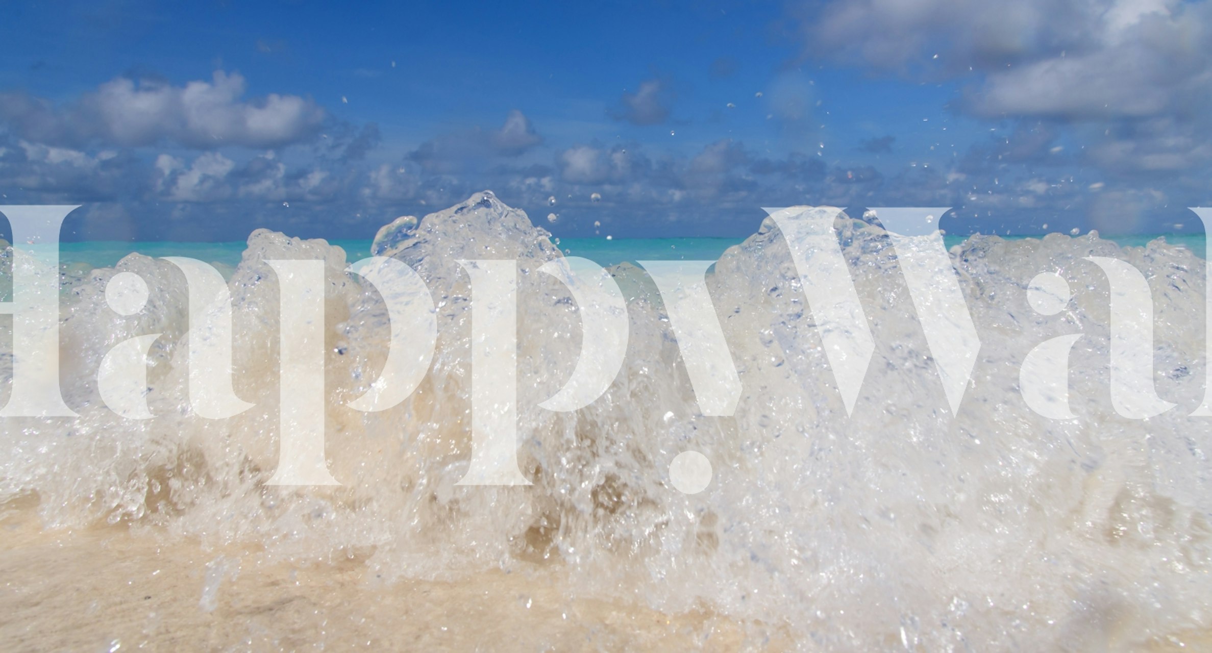 Caribbean Island Wave Love wallpaper in a room