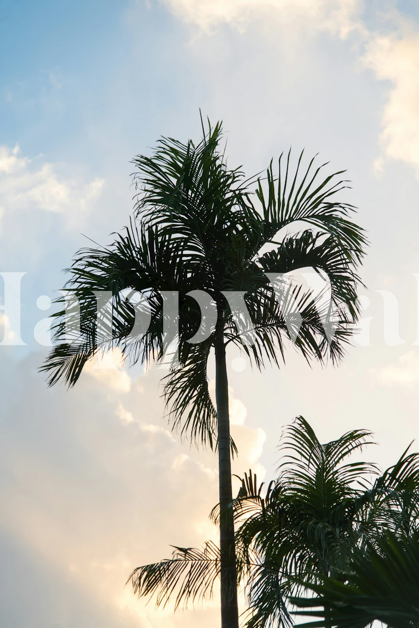 Lush Glam Palm Tree wallpaper in a room
