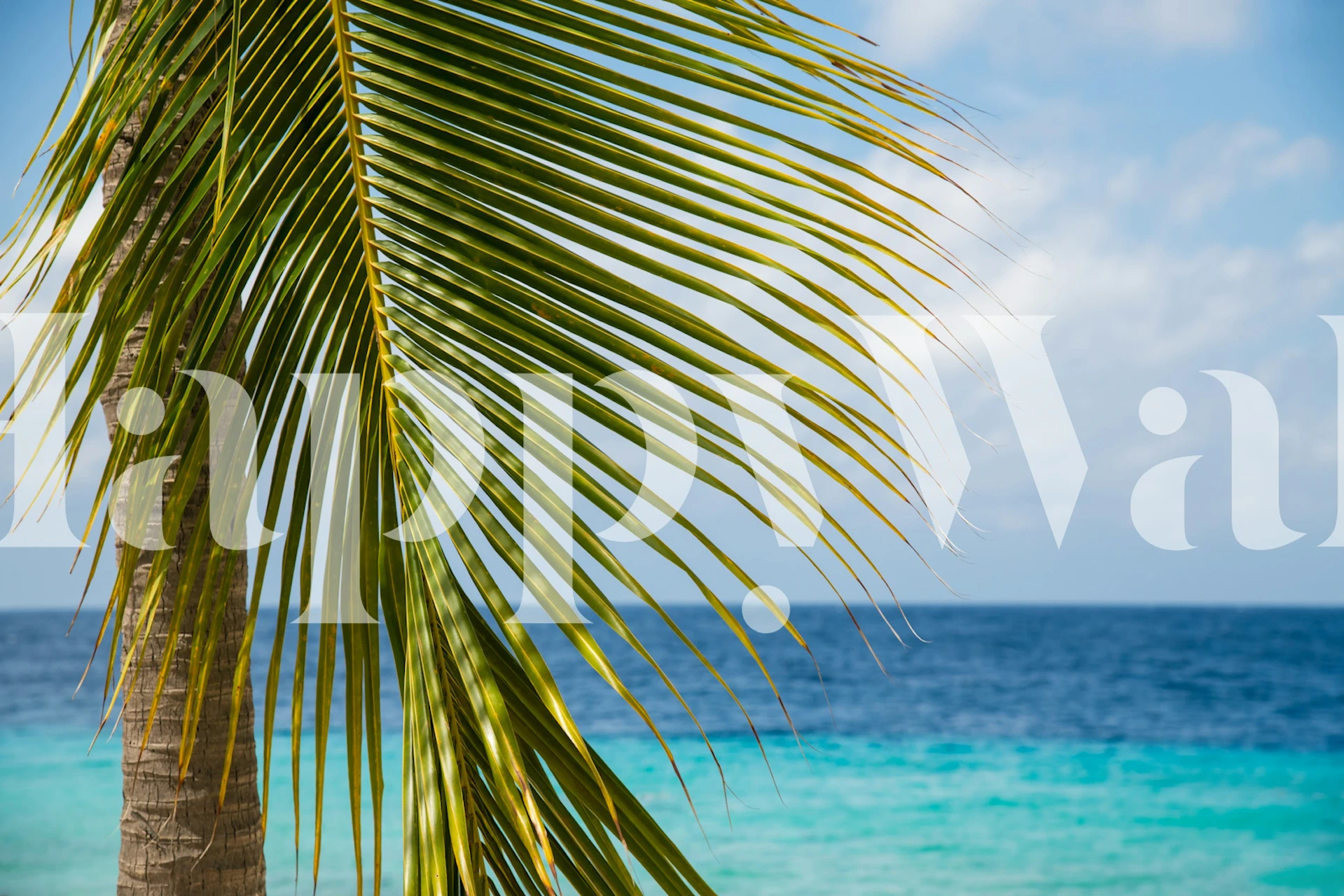 Lush Glam Palm Ocean 1 tapetti huoneessa