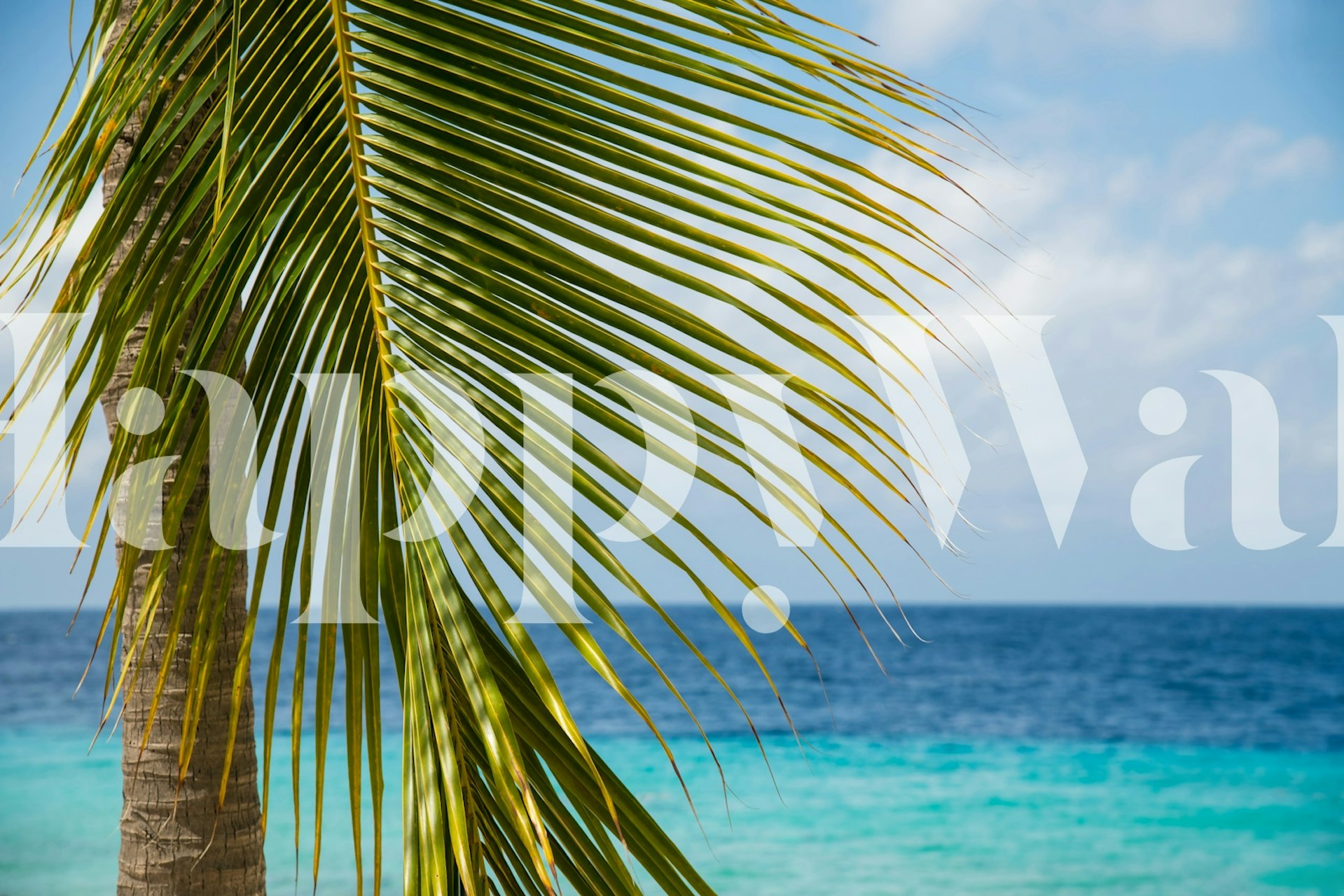 Lush Glam Palm Ocean 1 wallpaper in a room