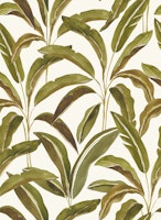 Large Lush Tropical Banana Leaf Palm White carta da parati