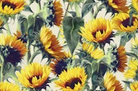 Sunflowers Forever in Gold and Green papiers peint