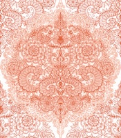 Soft Indian Red Bohemian Victorian Lace wallpaper