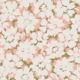 Backroads Blossom Floral Pink and Green