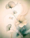 Soft Whispering Petals