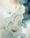 Whispers of Serenity