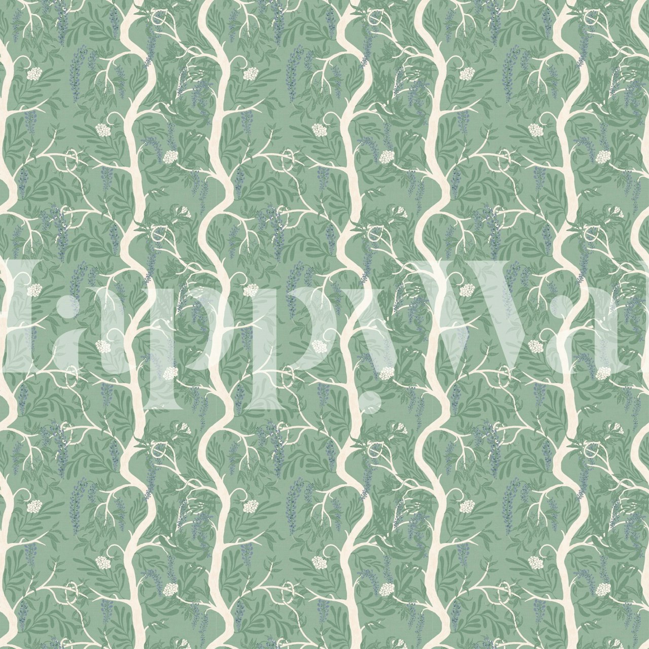 Wisteria branches with green leaves and delicate flowers wallpaper