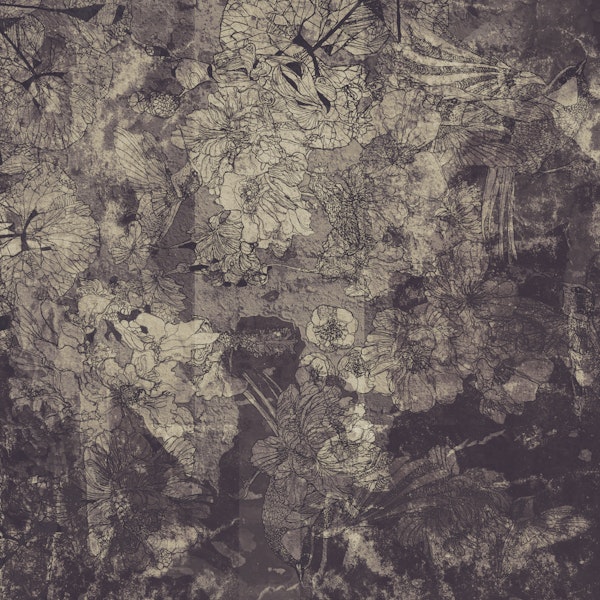 Faded Elegance Blossoms