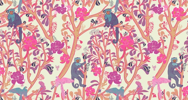 Capuchin Monkeys In Magenta Pink