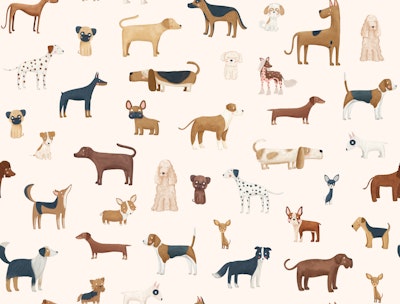Pattern