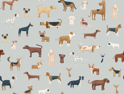 Pattern