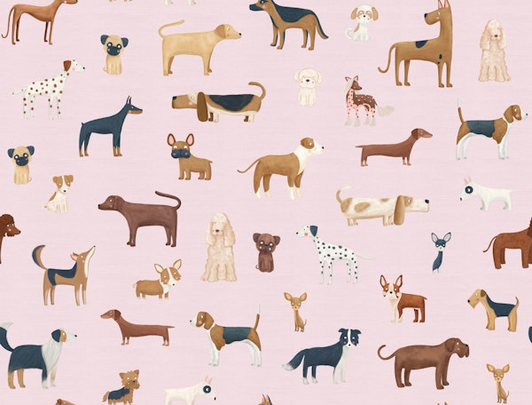 Dog Variety Jumbo scale Textured pink