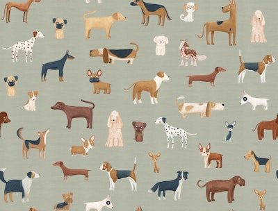 Pattern