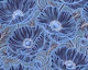 Midnight Indigo Blue Poppy Floral Small