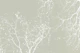 Branches Soft Green Sage