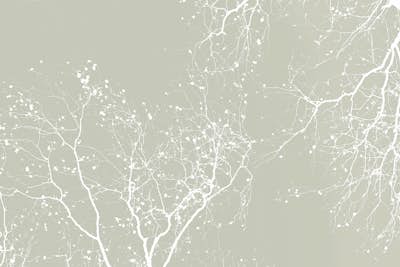 Τοιχογραφία