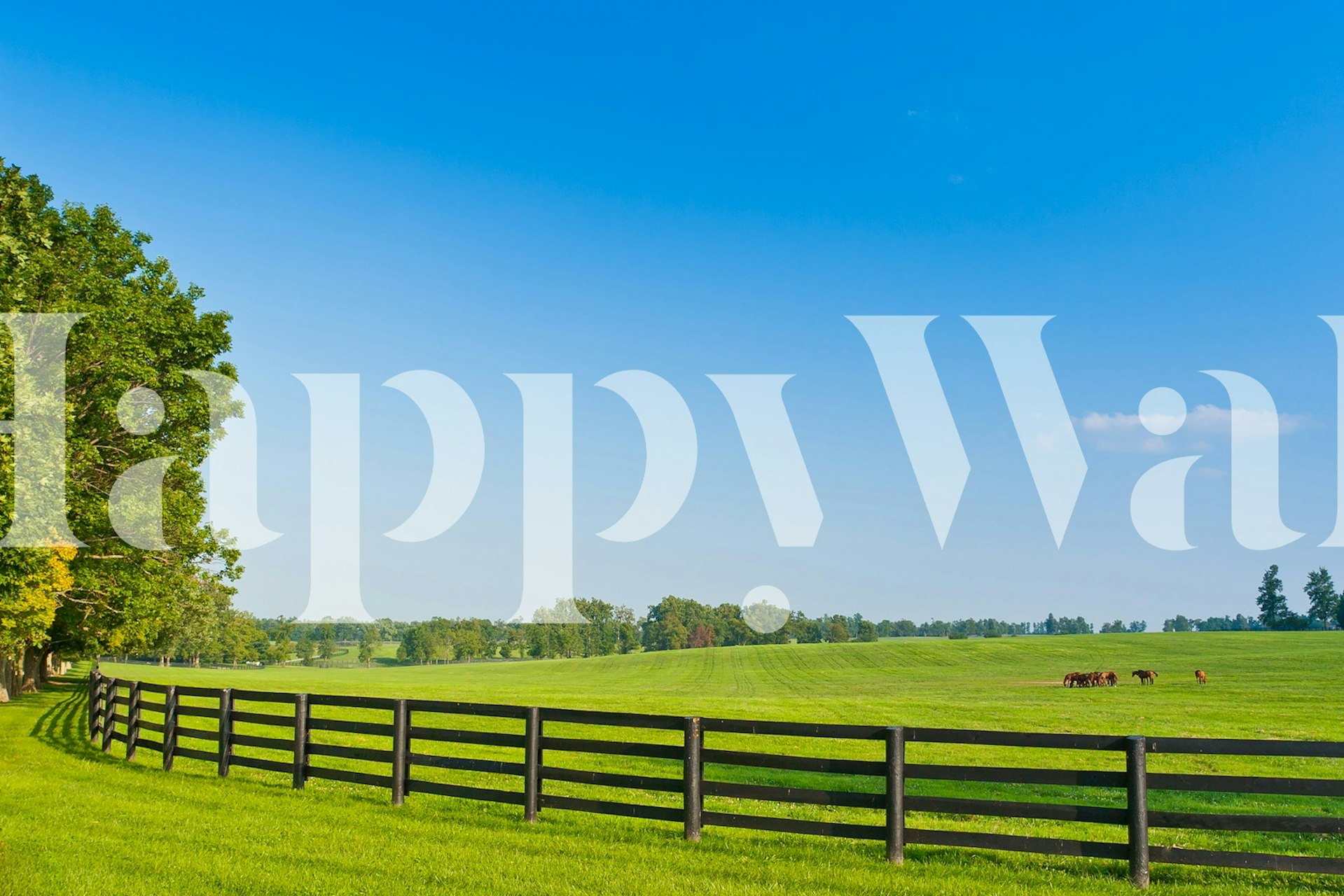 Green pasture landscape with a wooden fence and blue sky wallpaper