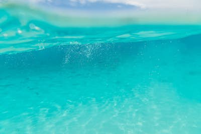 Τοιχογραφία