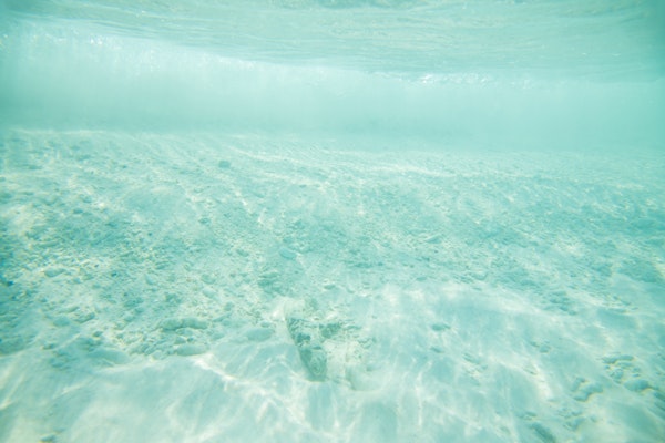 Underwater Ocean Bliss 1