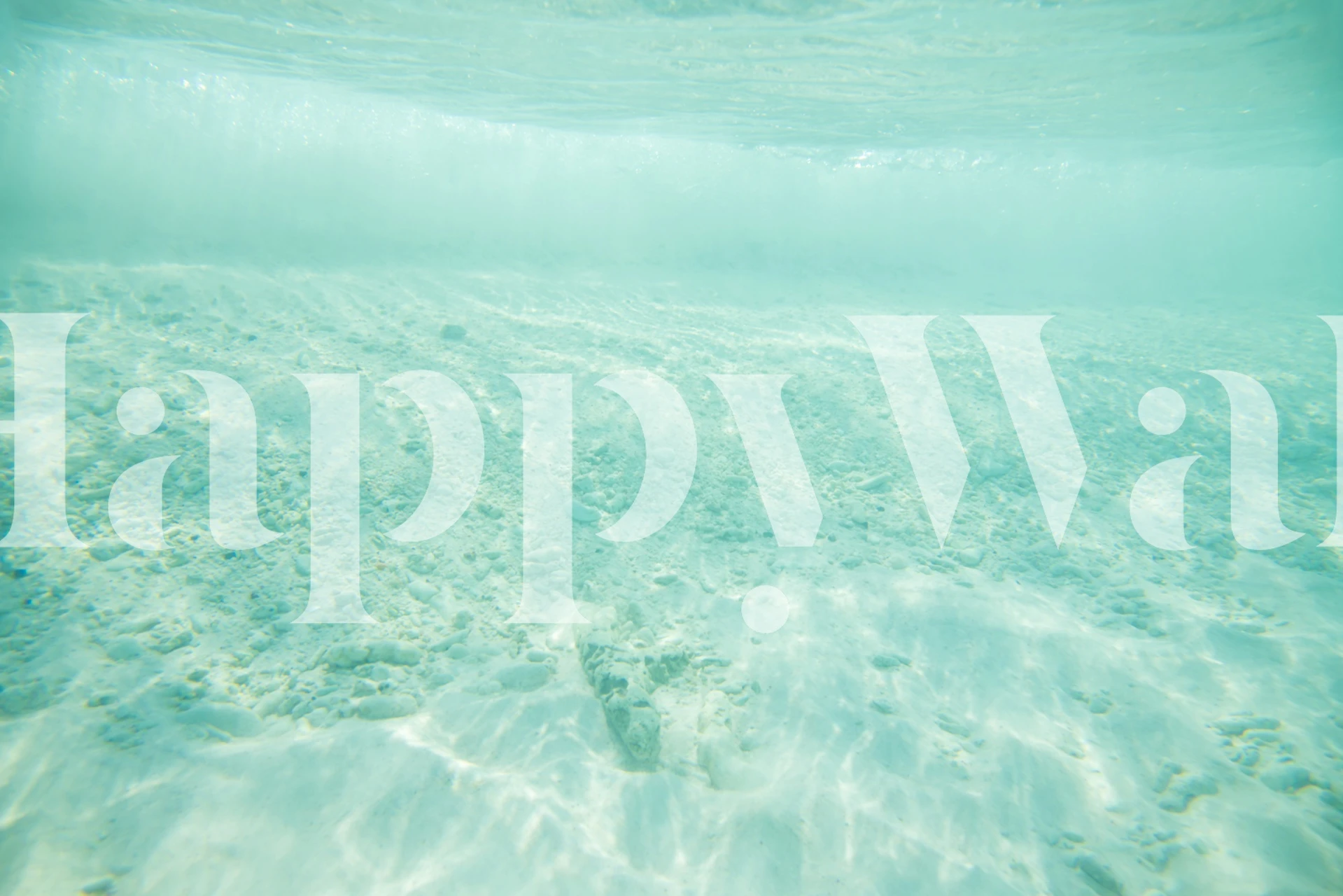 Underwater Ocean Bliss wallpaper in a room