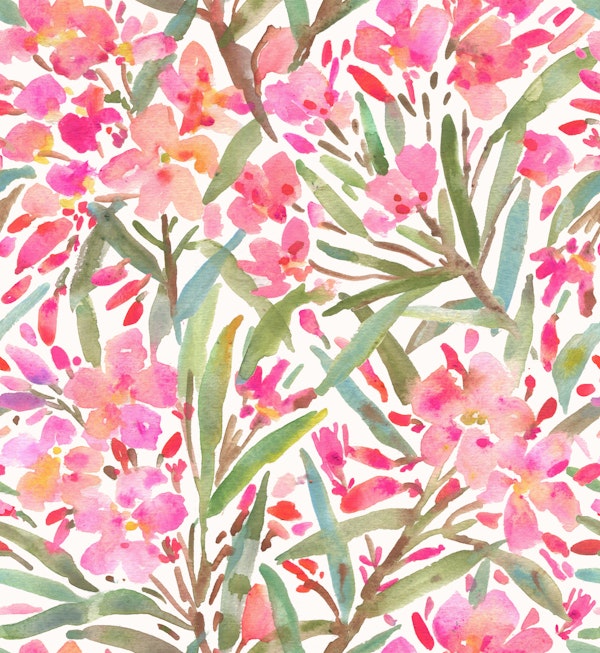 Oleander Flowers and Leaves White