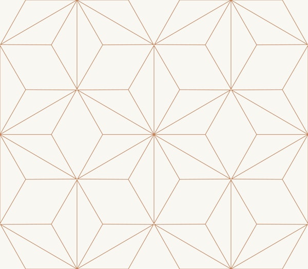 Minimalist Line Geometry Brown Beige